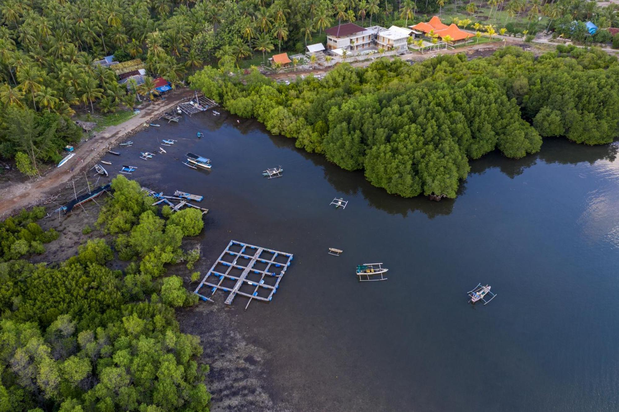 Mangroove Bay Boutique Hostel Banyuwedang Exterior foto